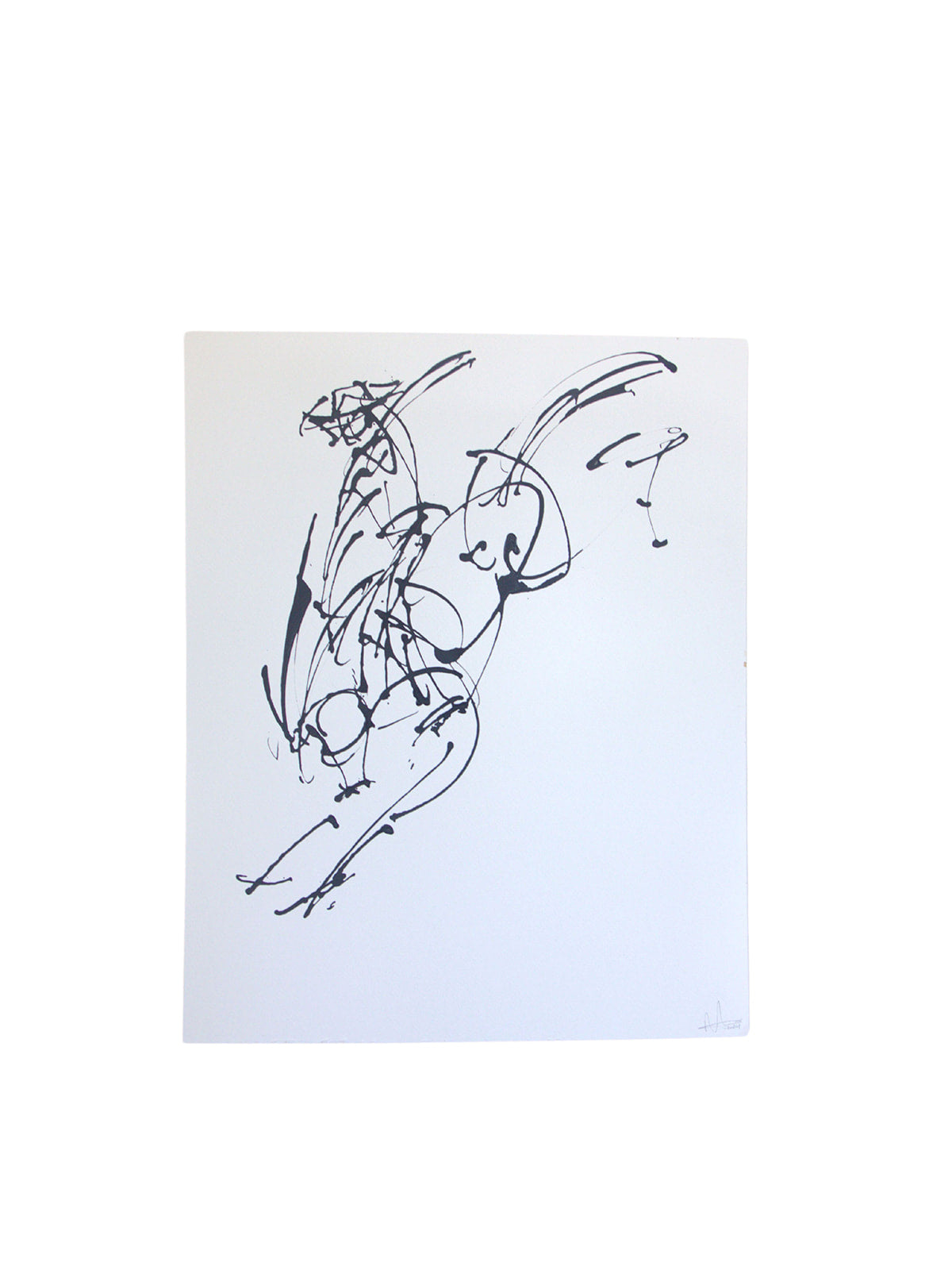Ink on Paper Drawing