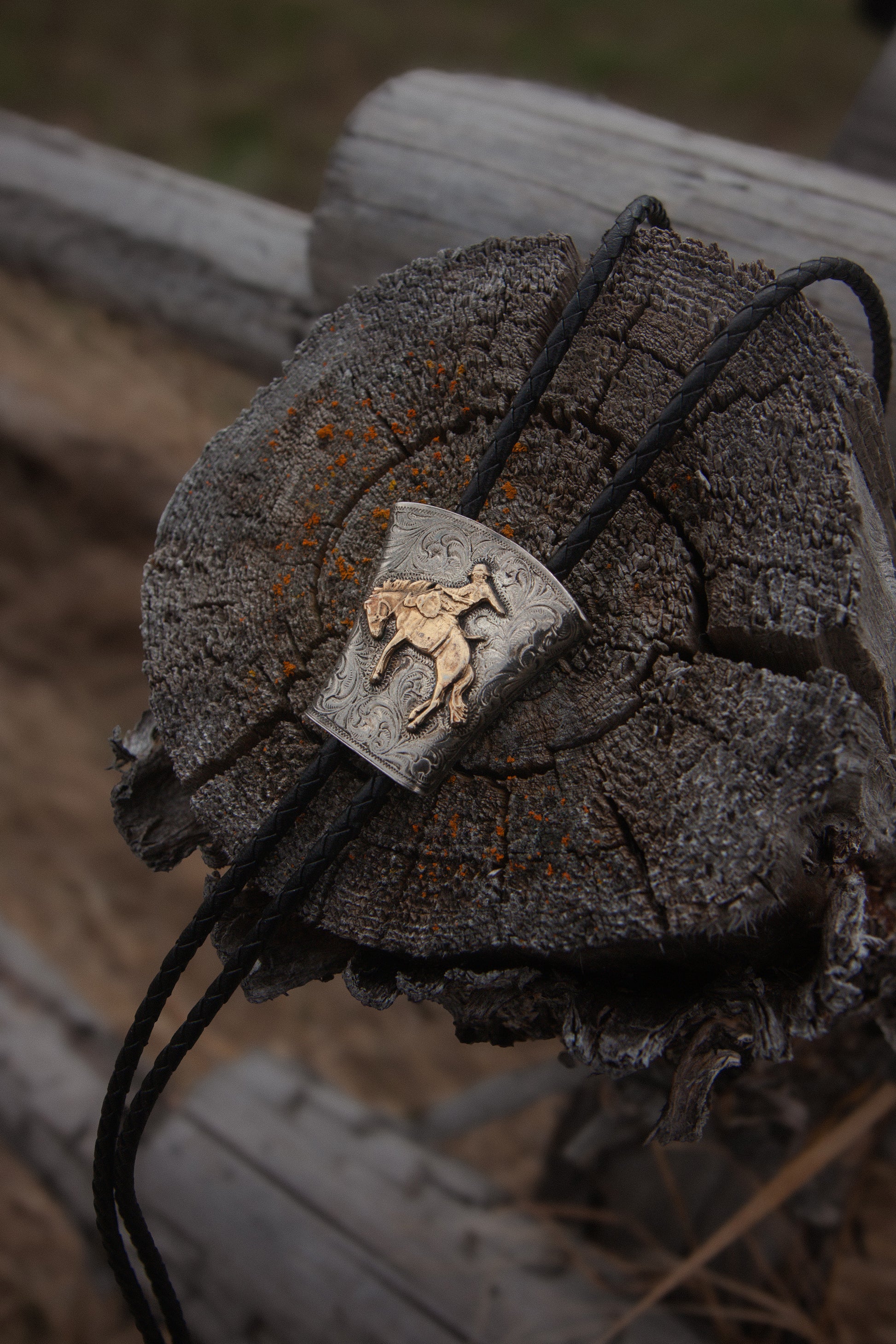 Metallic pendant with a horse design on a wooden surface